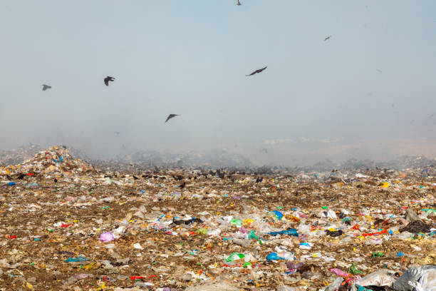 istock Burning trash piles in landfill 1441429219