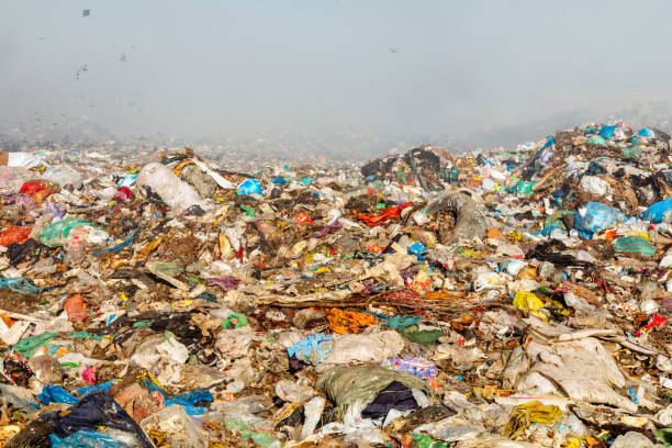 istock Burning trash piles in landfill 1441429327