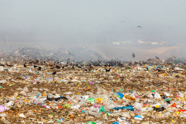 istock Burning trash piles in landfill 1441429652