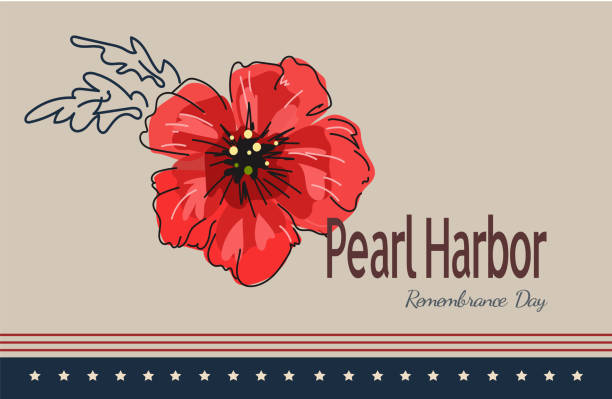 ilustraciones, imágenes clip art, dibujos animados e iconos de stock de flor de amapola roja brillante, banner de garabatos vectoriales para el día del recuerdo de pearl harbor. - pearl harbor