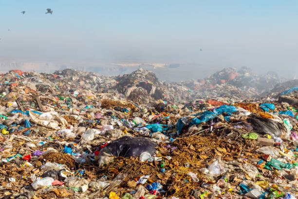 istock Burning trash piles in landfill 1441430473