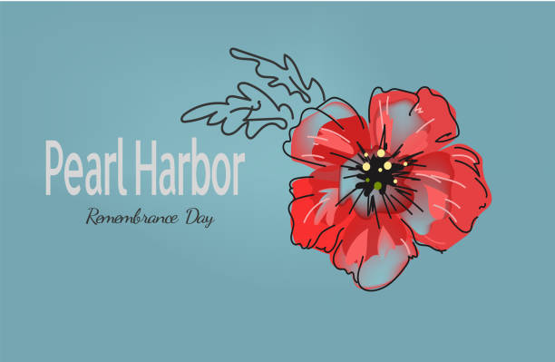 czerwony jasny kwiat maku, baner vector doodle na dzień pamięci pearl harbor. - pearl harbor stock illustrations