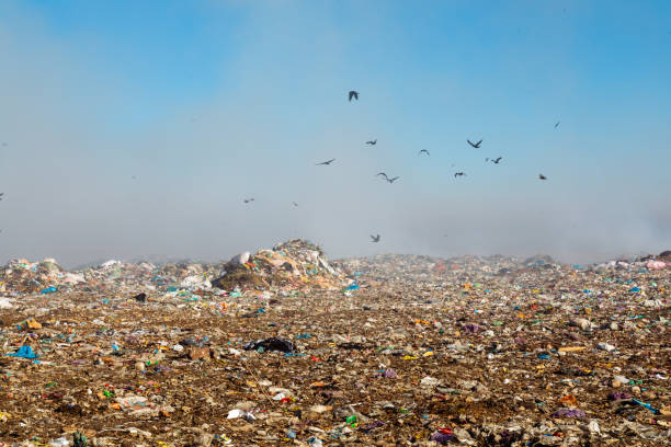 istock Burning trash piles in landfill 1441430940