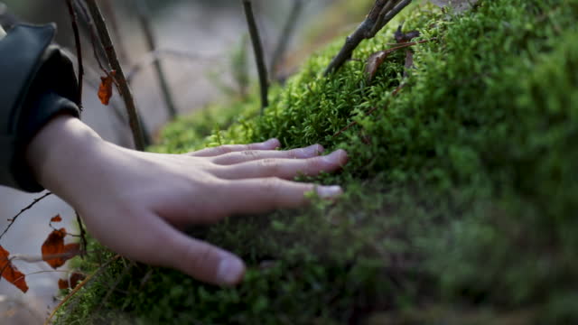 Teenage boy touching soft moss in forest