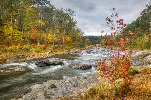 istock Beavers Bend State Park Sweetgum 1441438738