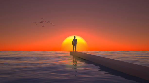 silhouette of a man from the back at sunset with birds. 3d rendering