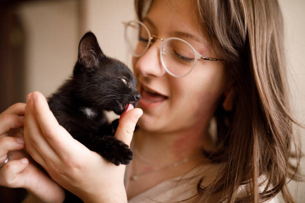 istock Black kitten licking its owners finger 1441443997