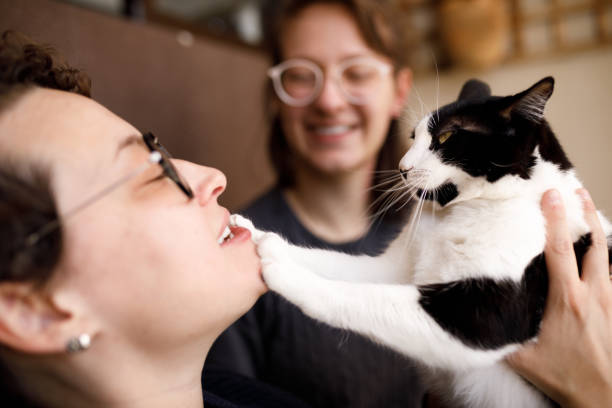 istock Woman holding cat that is with its paws on her face 1441444126