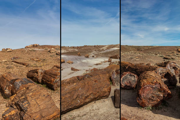 istock Petrified National Forest landscape, AZ, USA 1441447465