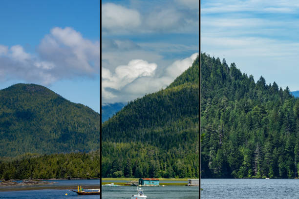 Spectacular scenery of the Tofino coast in Vancouver Island, , BC, Canada stock photo