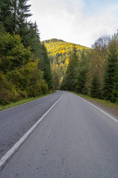 istock Landscape road in the Carpathians 1441452886