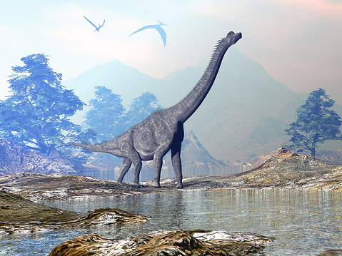 Brachiosaurus dinosaur walking in a beautiful landscape with mountains and water by sunset - 3D render