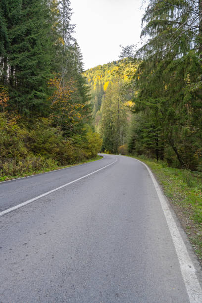 istock Landscape road in the Carpathians 1441453206