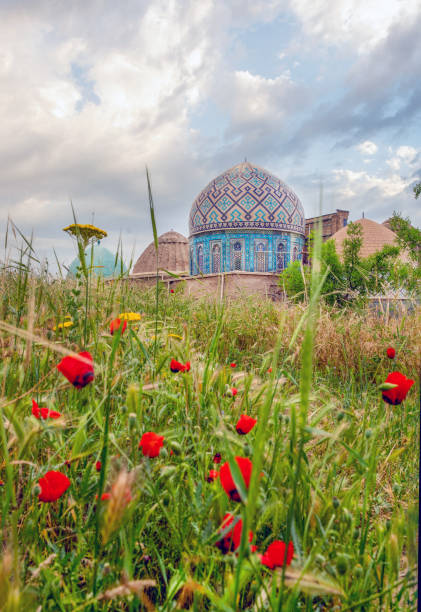 istock Memorial complex Shakhi-Zinda  and red poppies 1441454375
