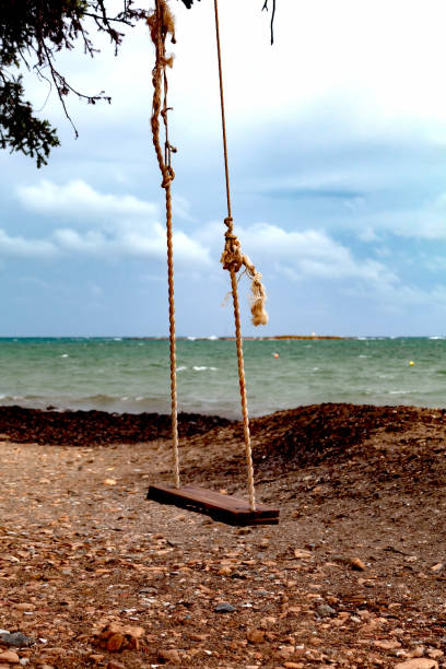 Hanging from tree branch.