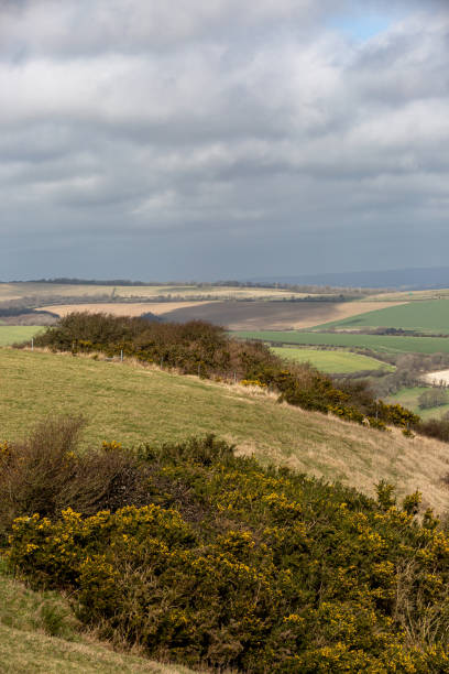 istock Looking out over the South Downs on an early spring day 1441458266