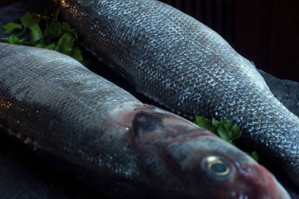 パセリと魚の小枝で黒い大理石の上に生のヨーロッパのスズキ��の皮を失います。 - fish fish market catch of fish market ストックフォトと画像