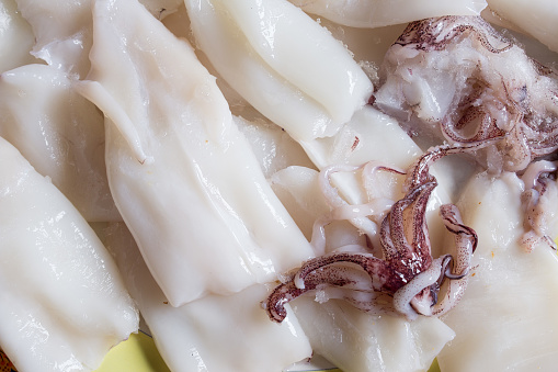 A bunch of fresh squids and raw tentacles on a plate. Healthy nutrition.