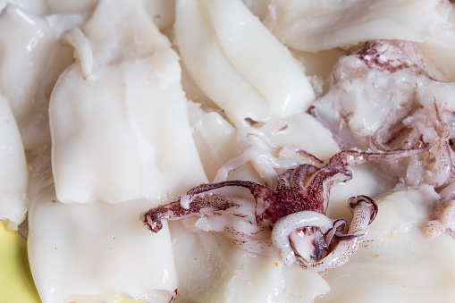 Fresh squid tentacles close-up. Fish and food.