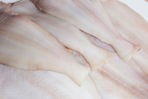A group of clean and raw fresh flatfish megrim. Diets and fish.