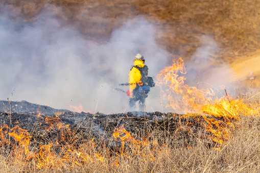 Wildfires in California are fought by brave firefighters who set prescribed burns or use hoses with water to put out the fire.