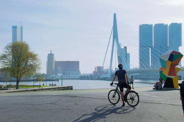 Erasmo da Rotterdam bridge and Renzo Piano skyscraper on misty sky