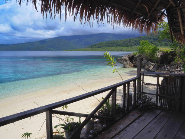 istock papuan seascape and beach from a stilt hut 1441475950