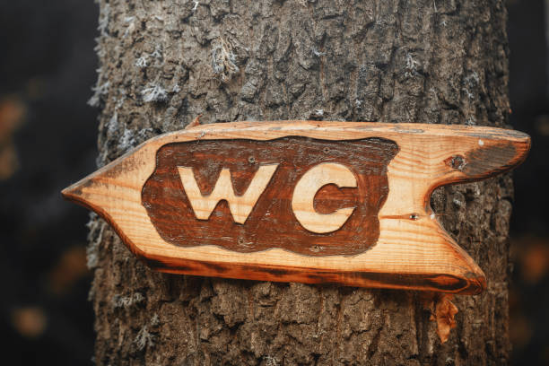 istock Wooden public toilet sign pointer attached to a tree. WC direction indicator 1441479347