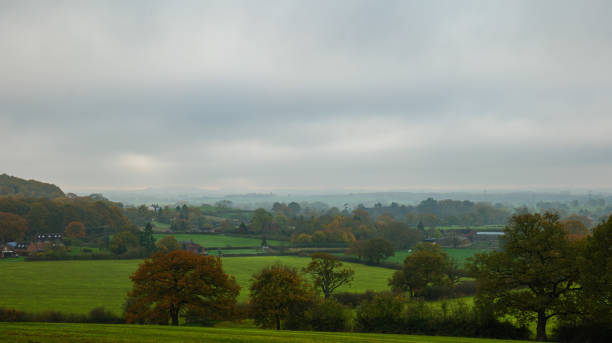 istock Morning Mist at Chaddesley Nature Reserve, UK 1441480184