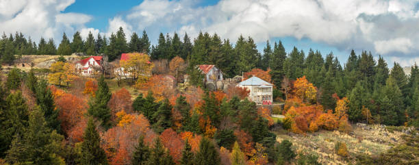 schöner panoramablick mit häusern, bäumen in herbstfarben, in penhas douradas, serra da estrela in portugal. - guarda stock-fotos und bilder