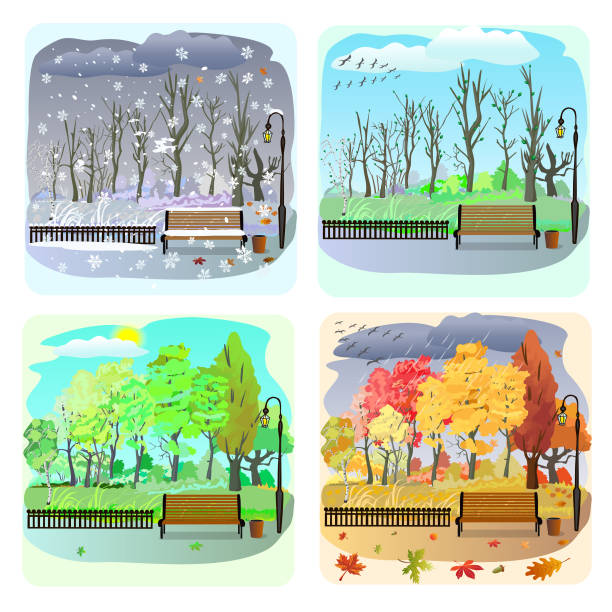 ilustraciones, imágenes clip art, dibujos animados e iconos de stock de cuatro estaciones, invierno, primavera, verano, otoño. aves migratorias, paisajes pintorescos. - four seasons cloud autumn plant