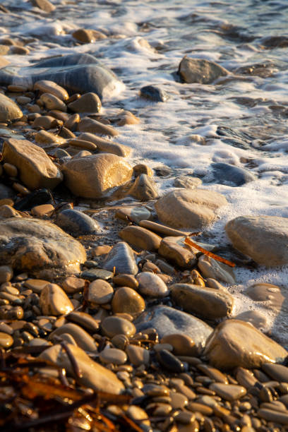 istock Stones and seaweed by the sea 1441485104