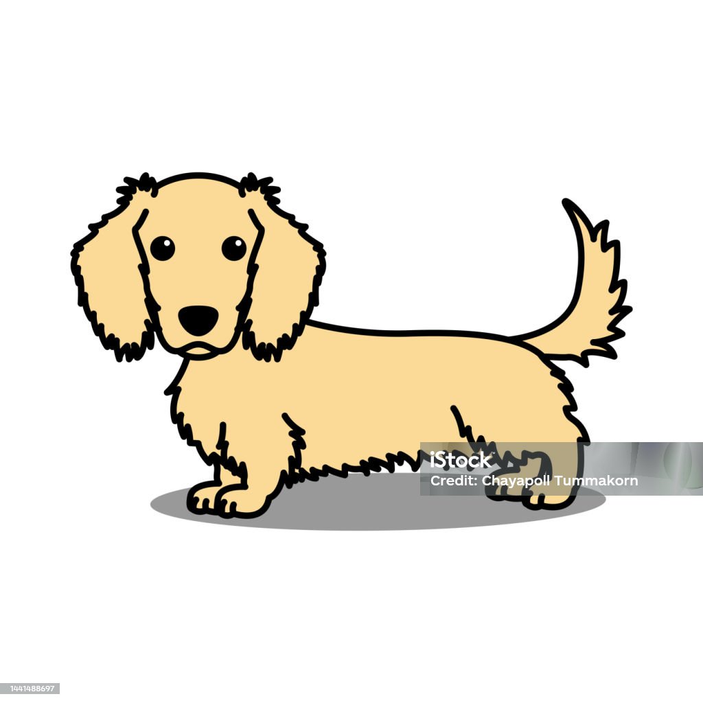 Ilustración de Lindo Perro Salchicha De Pelo Largo Color Crema Dibujos Animados Ilustración Vectorial y más Vectores Libres de Derechos de Animal - iStock Ilustración de Lindo Perro Salchicha De Pelo Largo Color Crema Dibujos Animados Ilustración Vectorial y más Vectores Libres de Derechos de Animal - iStock
