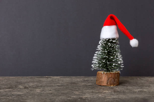 one small christmas tree with santa hat on colored background. new year decoration with copy space - celebration imagens e fotografias de stock