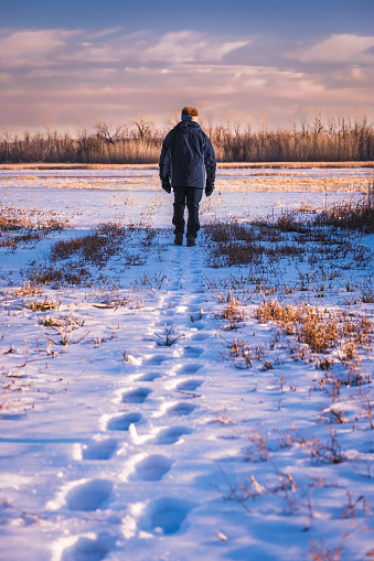 View of older man walking in snow covered field at sunset in winter; his footprints in foreground and forest in background