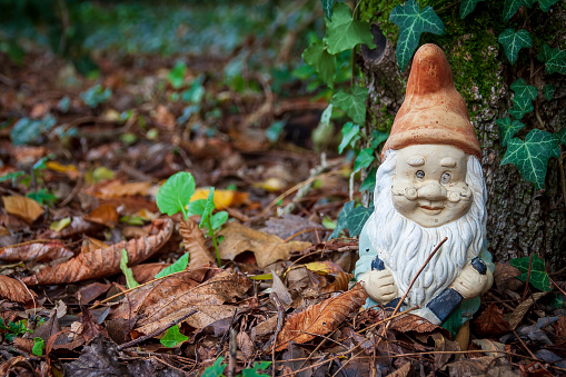 Montbonnot France 13 11 2022 old garden gnome statuette, abandoned, damaged, in the middle of autumn leaves