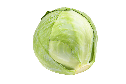 Green natural cabbage head