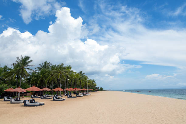istock Empty beach with umbrellas and deck chairs. Palm trees. Beautiful summertime view seascape. Relax places island Bali island, Indonesia 1441498243