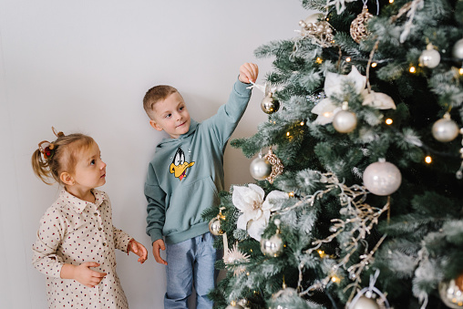 Children decorate Christmas tree. Family with kids decorating a Christmas tree with a toy ball. Happy New Year and Merry Christmas. Xmas morning at home. Decorated interior of a house. Closeup.