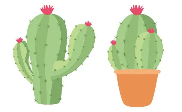 Vector illustration of Cute cactus vector illustrations