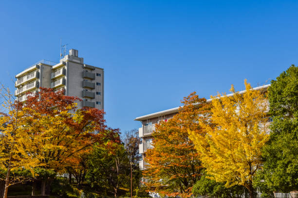 Residential area and blue sky. Tokyo Japan.