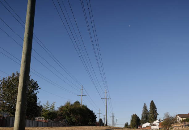 istock Power Lines along a Green Belt in Surrey, Canada 1441505016