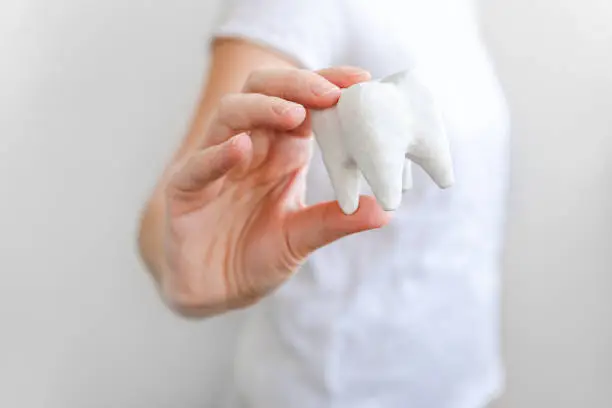 Photo of Health dental care concept. Woman hand holding white healthy tooth model isolated on white background. Teeth whitening, dental oral hygiene, teeth restoration, dentist day.