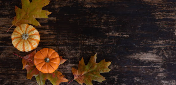 istock Pumpkins and fall leaves on a dark wood table 1441506984
