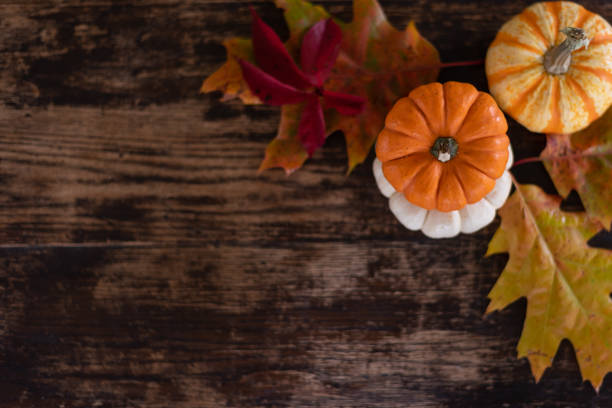 istock Soft focus pumpkins on dark wood table 1441506987