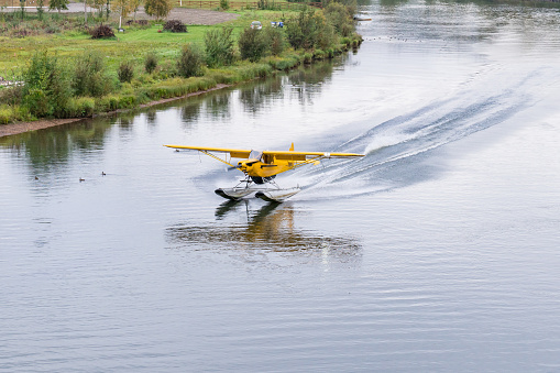 Yellow bush float plane landing on the Chena River in Alaska