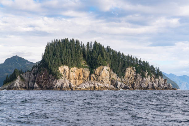 istock Island in Resuurection Bay Alaska 1441508510