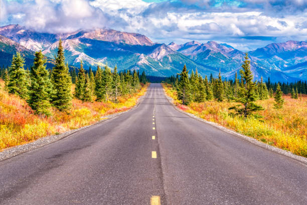 istock Long road through Denali National Park 1441508518