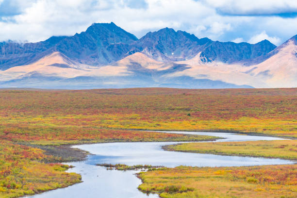 Mountains and tundra of the Alaska Range along the Denali Highway