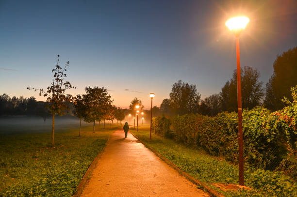 istock Twilight in the autumn park 1441509428